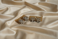 GiGi Silver Earrings