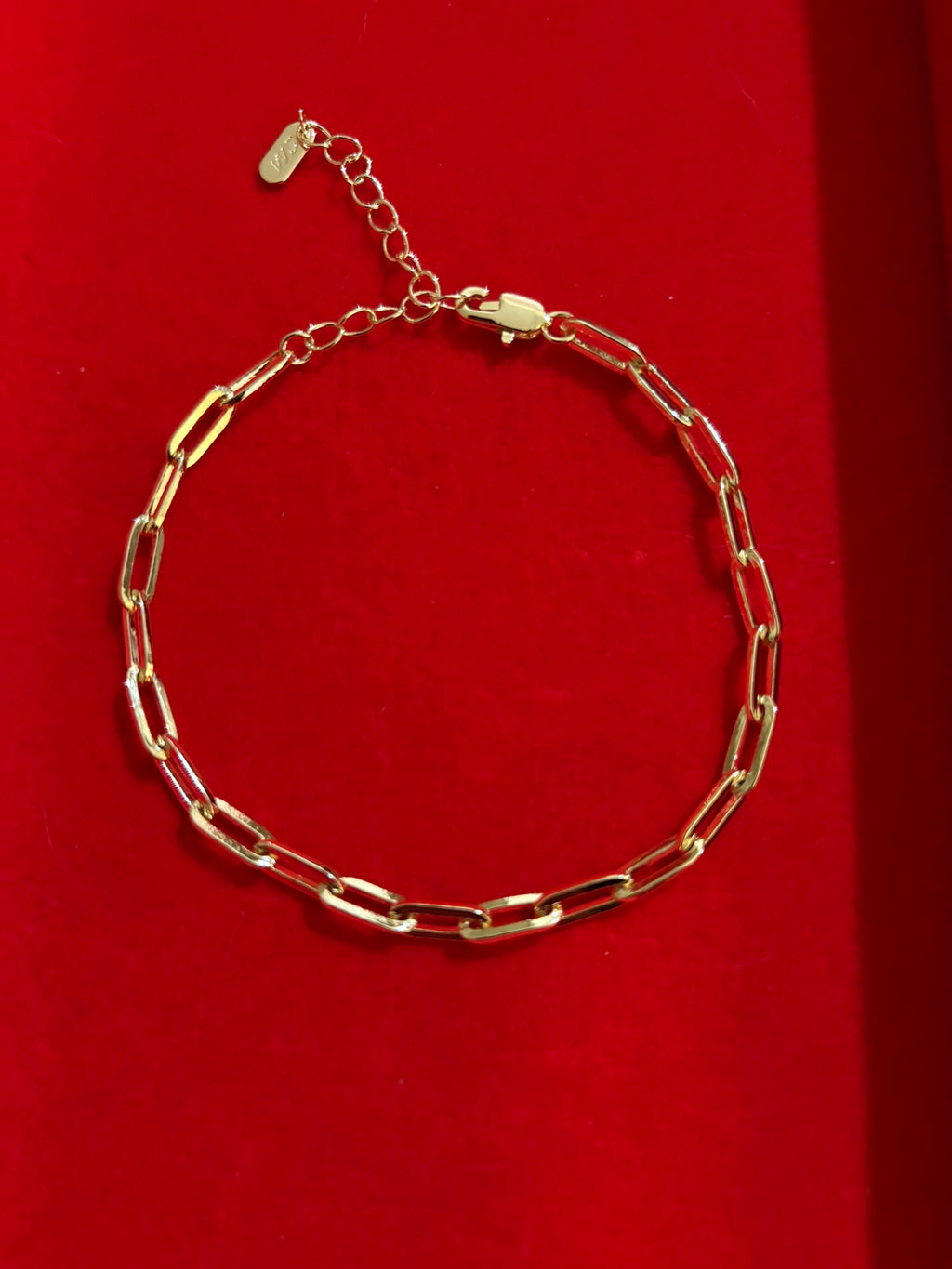 Luxe Paperclip Anklet
