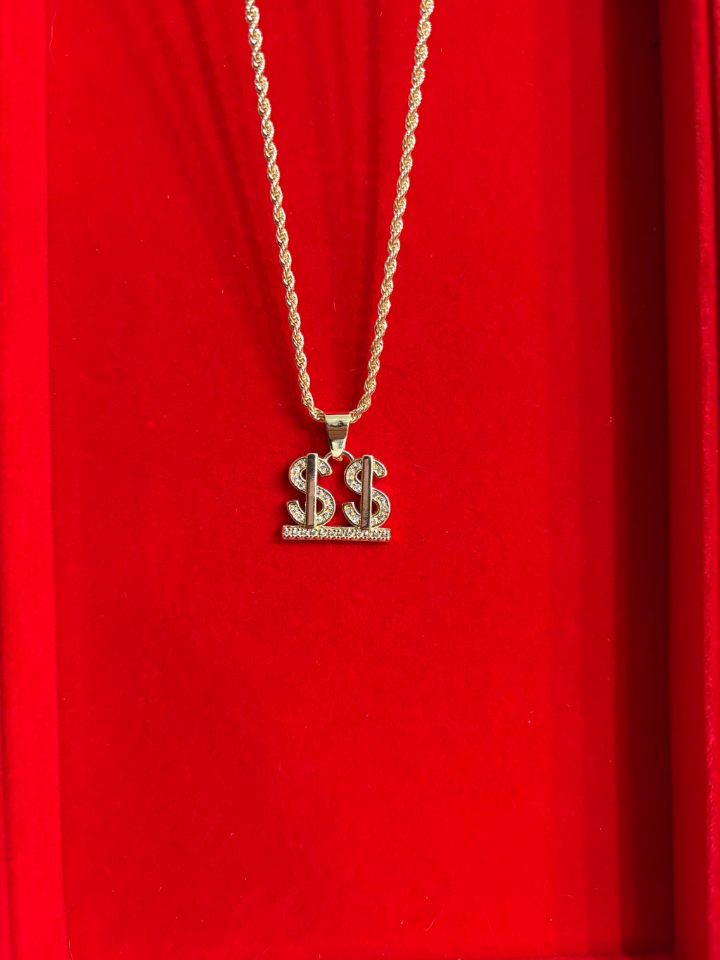 Double Dollar Bling Necklace