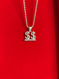 Double Dollar Bling Necklace