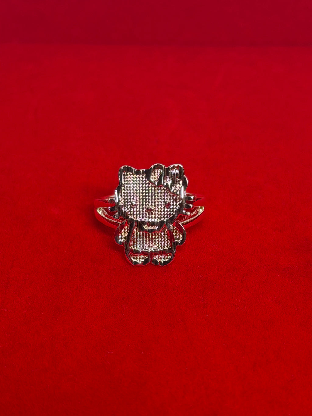 Silver HK full body ring
